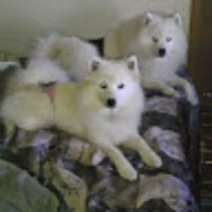 Meet your Posher, Bonnie